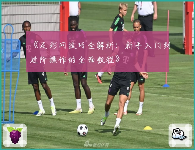 《足彩网技巧全解析:新手入门到进阶操作的全面教程》