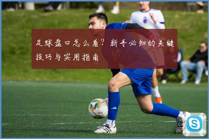 足球盘口怎么看？新手必知的关键技巧与实用指南