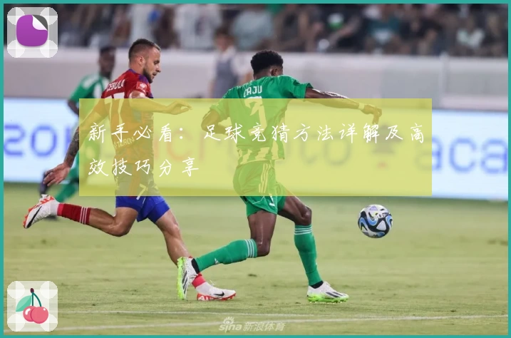 新手必看:足球竞猜方法详解及高效技巧分享