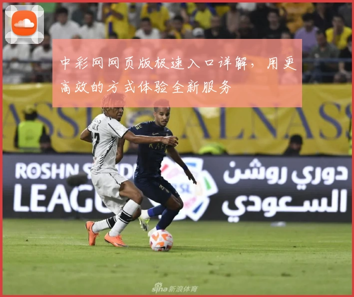 中彩网网页版极速入口详解，用更高效的方式体验全新服务