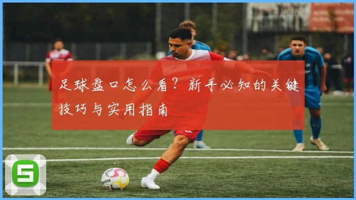 足球盘口怎么看?新手必知的关键技巧与实用指南